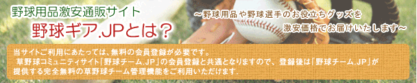 野球コミュニティサイト 野球チーム.JPとは